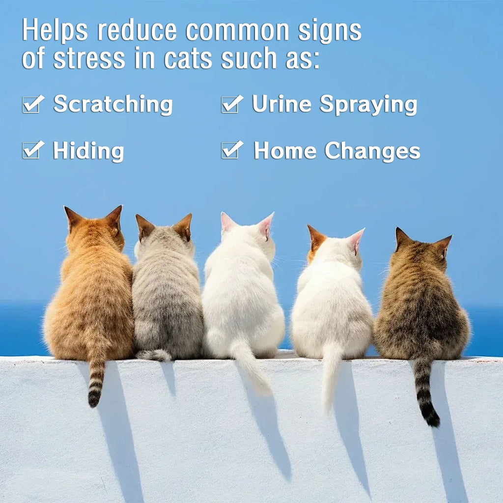 Calma líquida para gatos refil de 30 dias 3 frascos 48ml