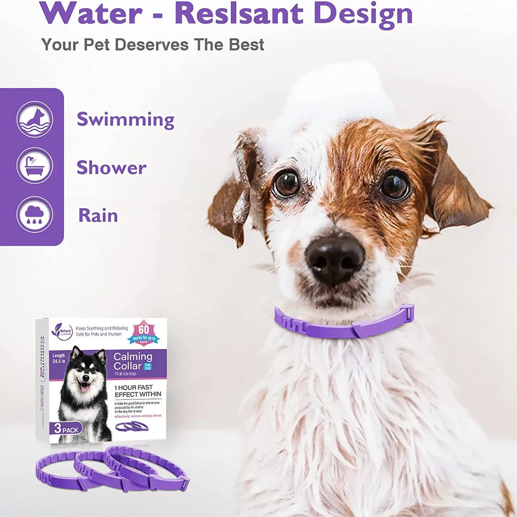 Coleira que aclama cães e gatos ajustável redução de feromônio